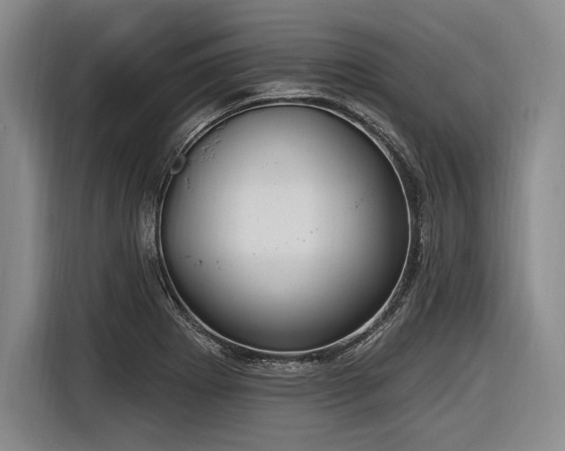 X0000116891273200912221446