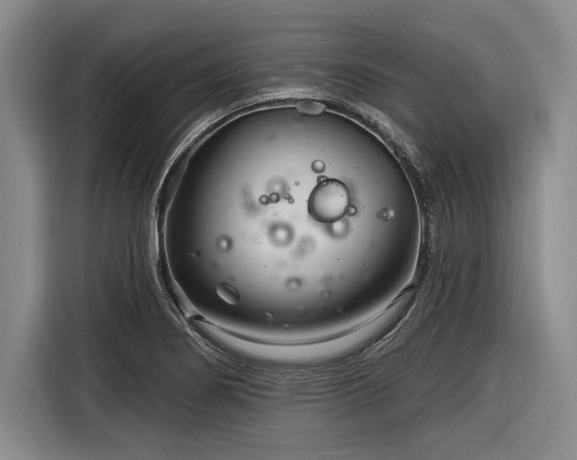 X0000116891274200912221446