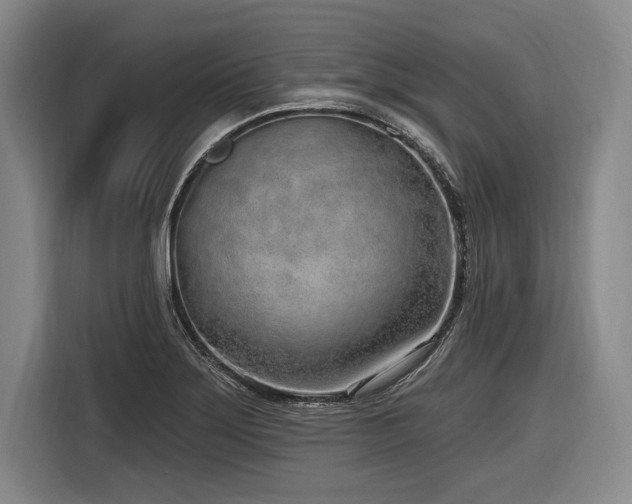 X0000116891275200912221446