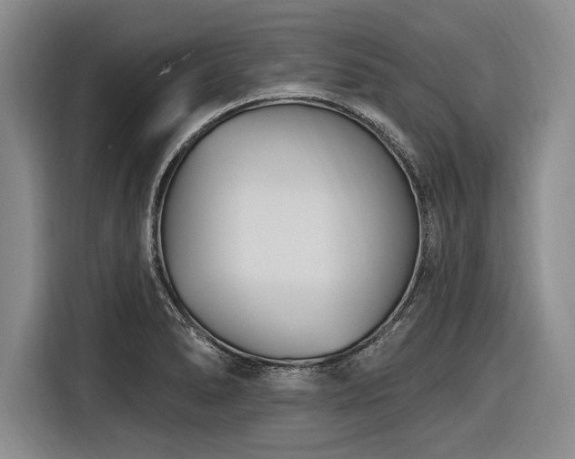 X0000116891278200912221446