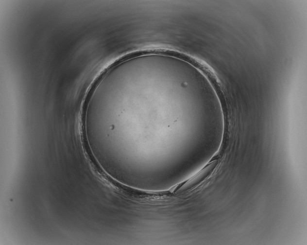 X0000116891279200912221446