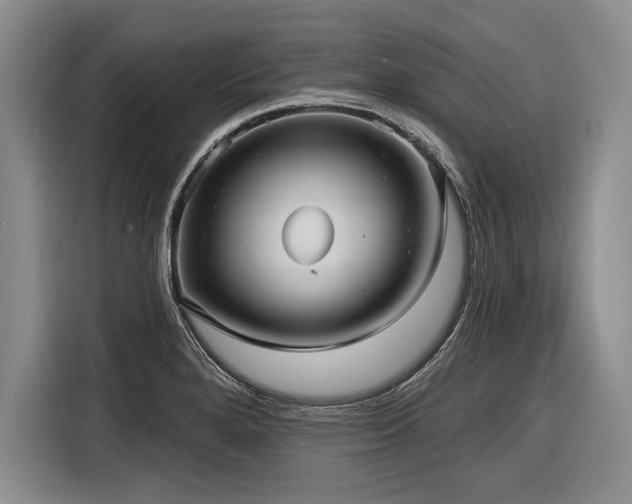 X0000116891280200912221446