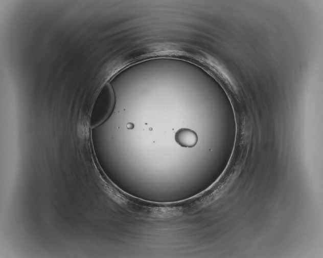 X0000116891281200912221446