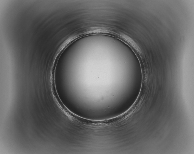 X0000116891282200912221446