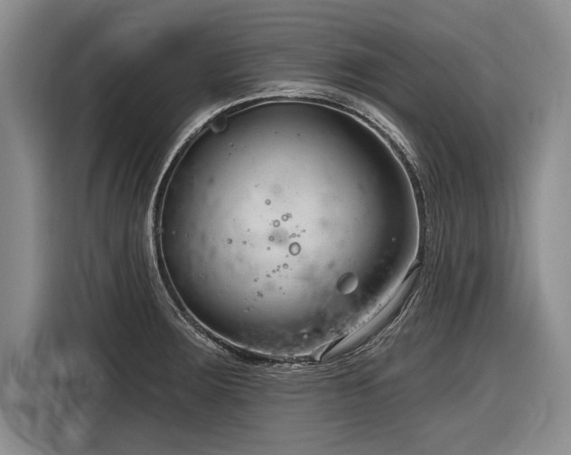 X0000116891283200912221446