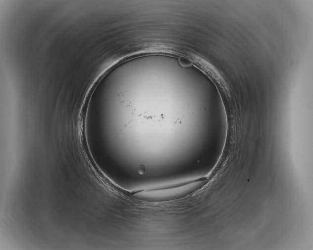 X0000116891284200912221446