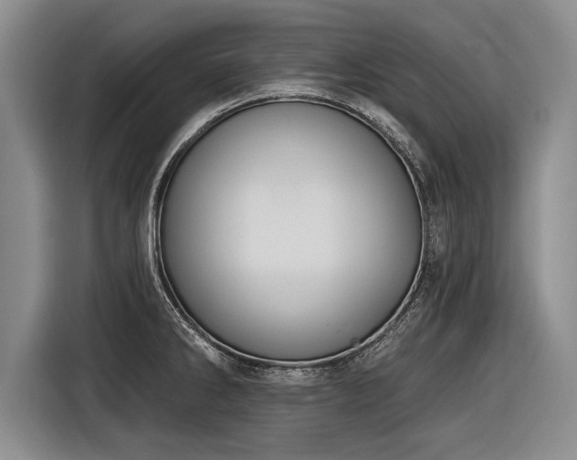 X0000116891286200912221446
