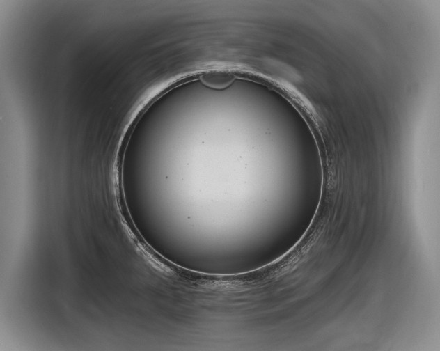 X0000116891287200912221446