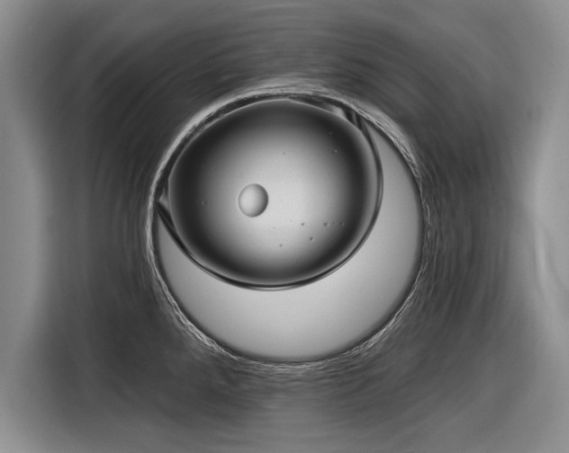 X0000116891288200912221446