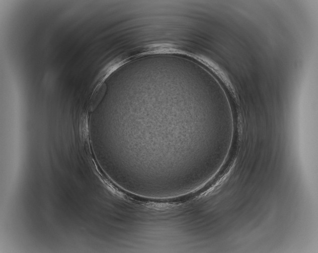 X0000116891289200912221446