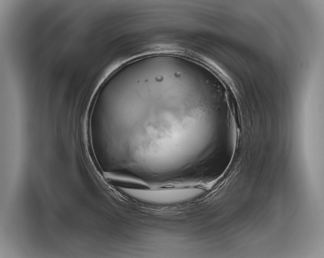 X0000116891291200912221446