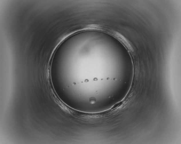 X0000116891292200912221446