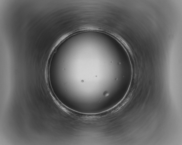 X0000116891293200912221446
