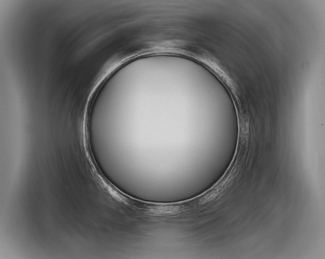 X0000116891294200912221446
