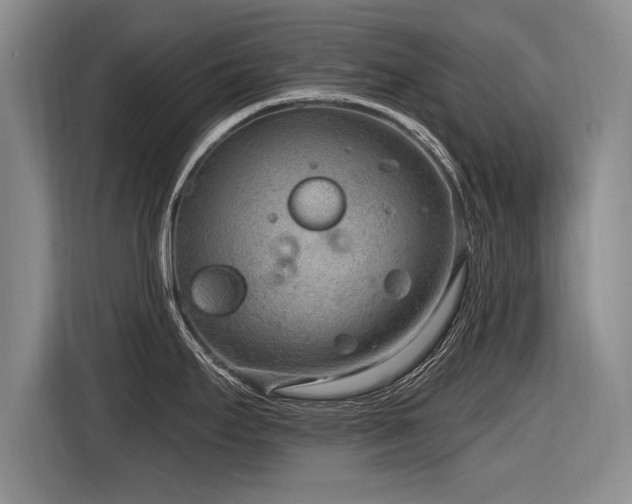 X0000116891295200912221446