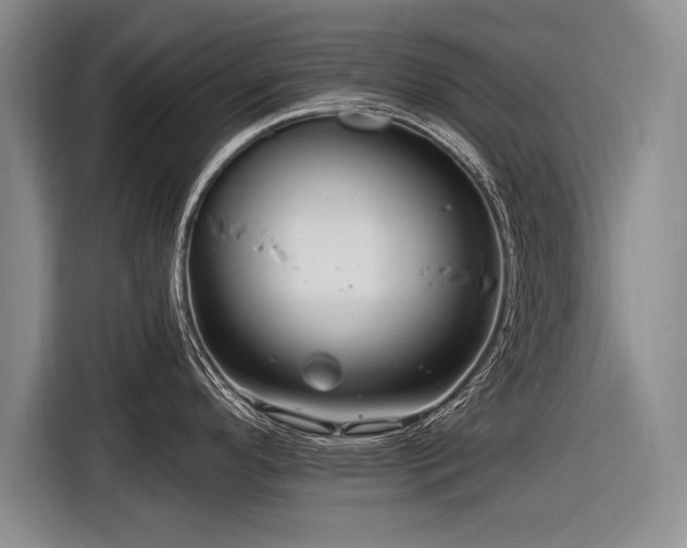 X0000116891296200912221446