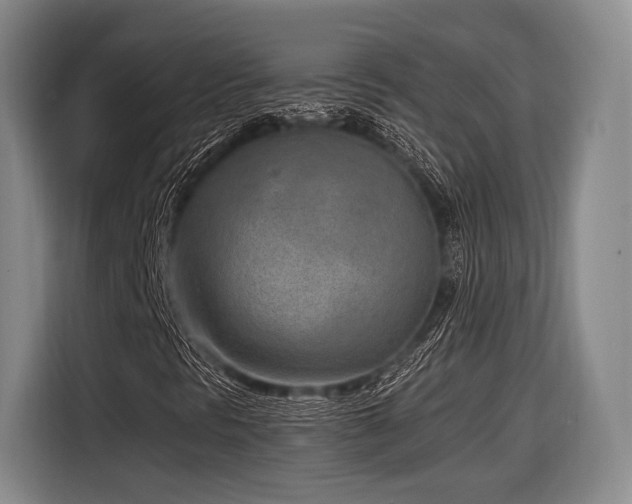X0000116891297200912221445