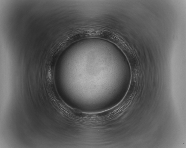 X0000116891298200912221445