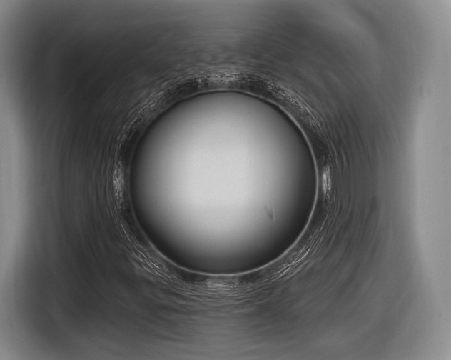 X0000116891299200912221445