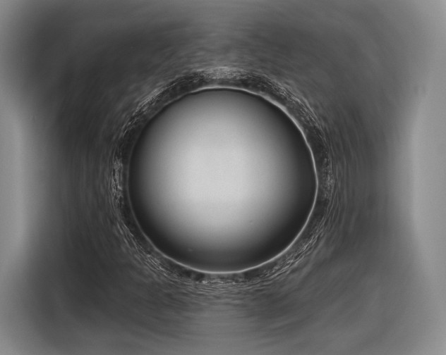X0000116891301200912221445