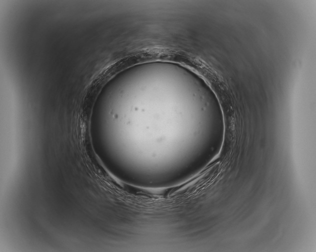 X0000116891302200912221445