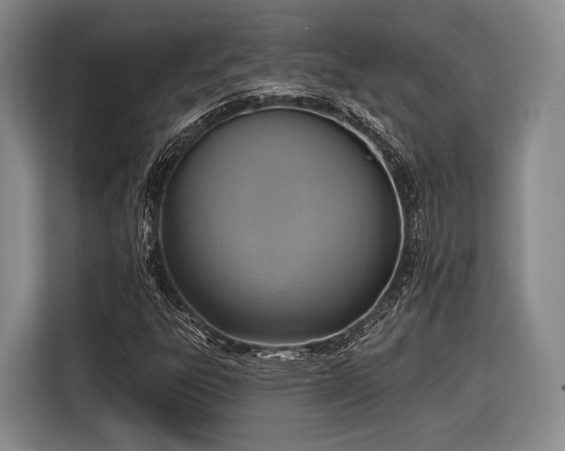 X0000116891303200912221445