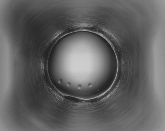 X0000116891305200912221445