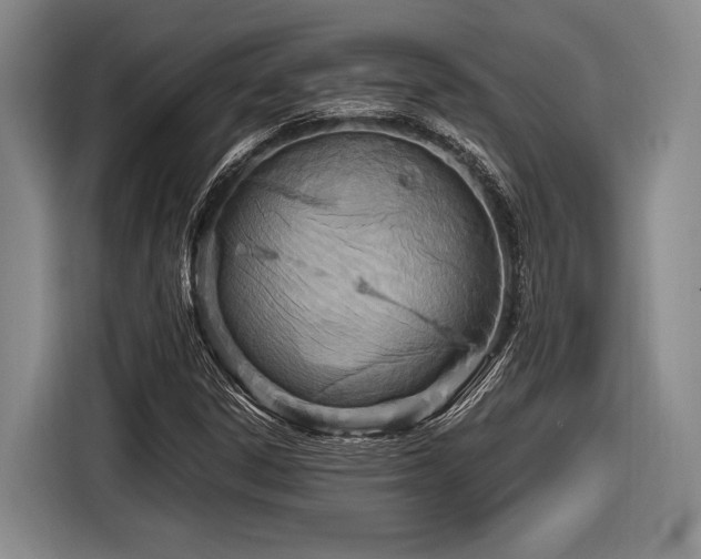 X0000116891306200912221445