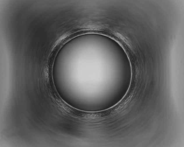 X0000116891307200912221445