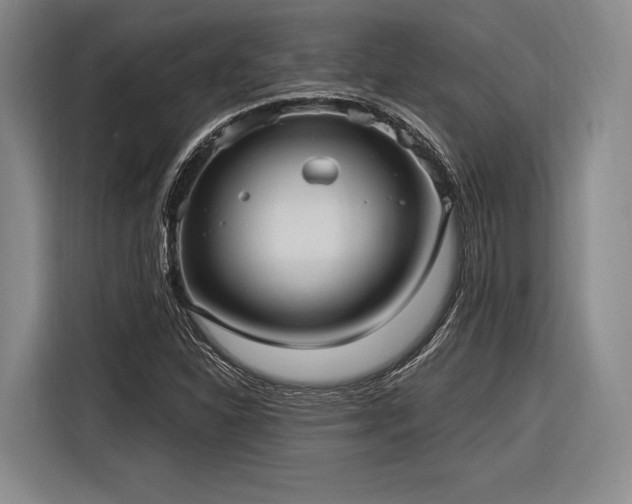 X0000116891310200912221445