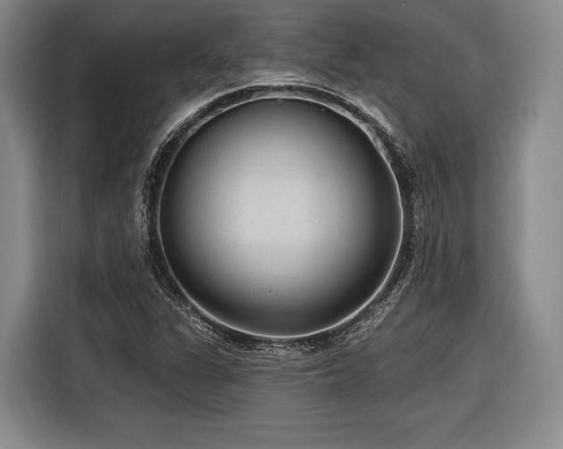 X0000116891311200912221445