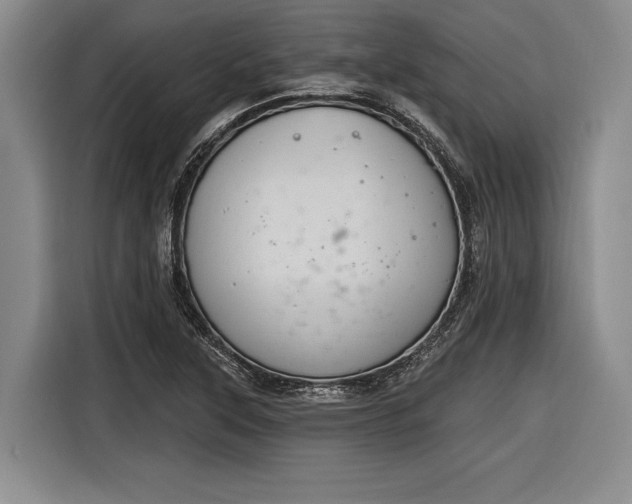 X0000116891315200912221445