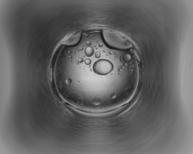 X0000116891317200912221445