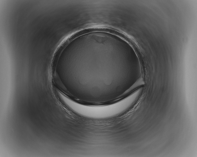 X0000116891319200912221445