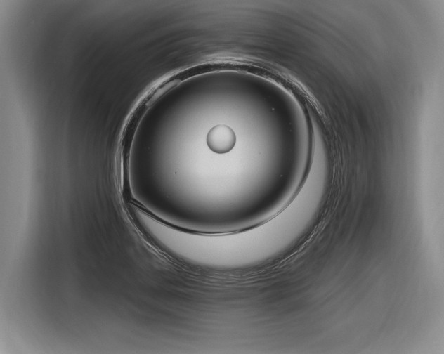 X0000116891323200912221445