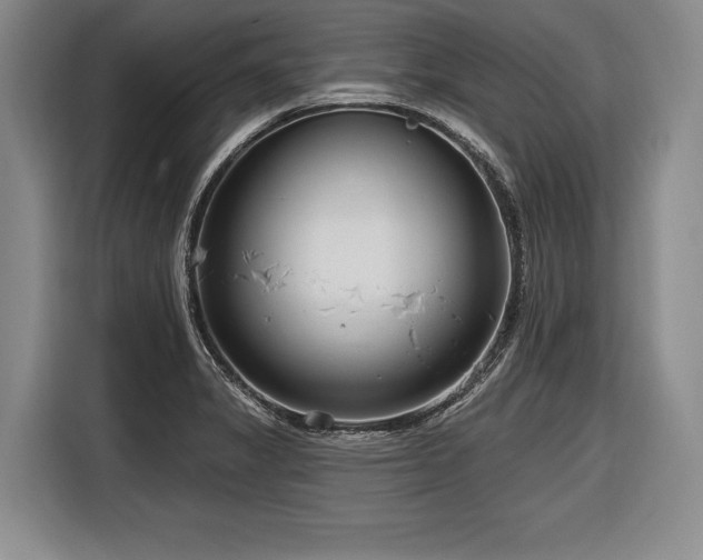 X0000116891325200912221446