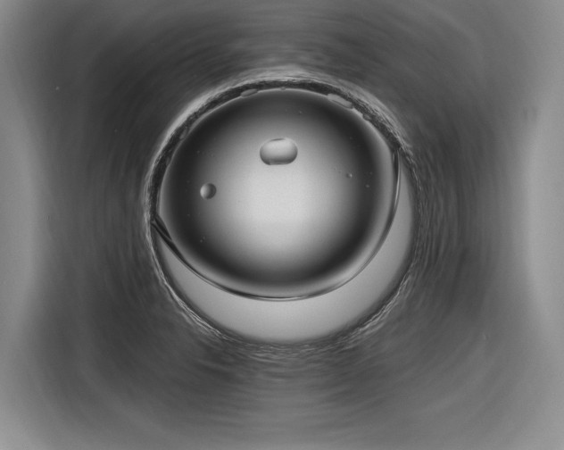 X0000116891326200912221446