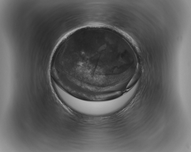 X0000116891327200912221446