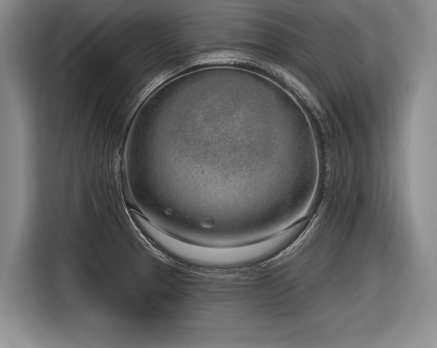 X0000116891329200912221446