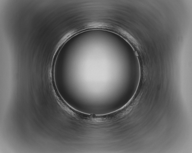 X0000116891330200912221446