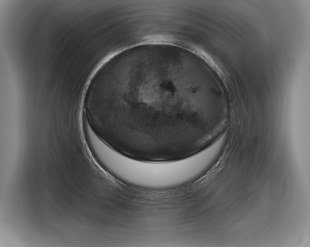 X0000116891331200912221446