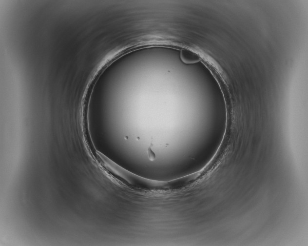 X0000116891333200912221446