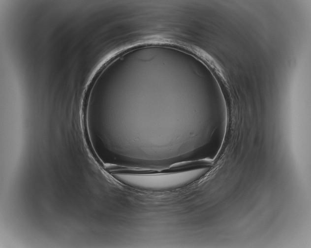 X0000116891334200912221446