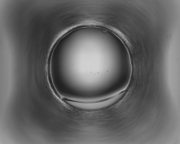 X0000116891335200912221446