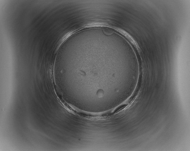 X0000116891337200912221446