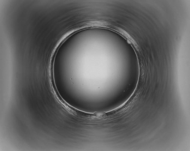 X0000116891339200912221446