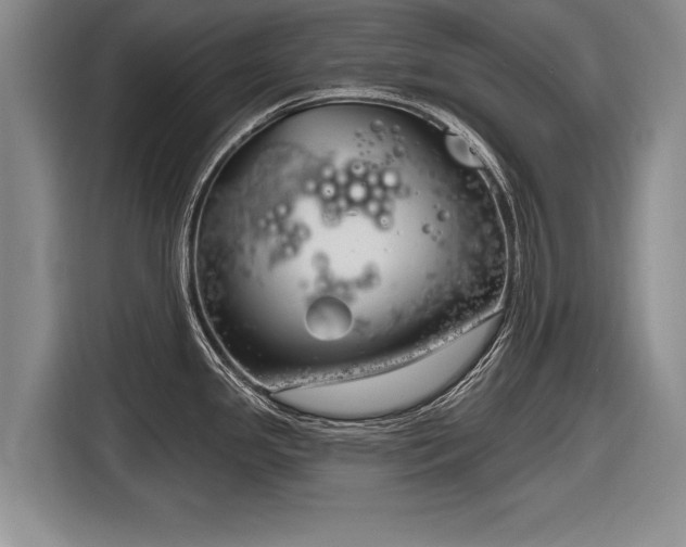 X0000116891341200912221446