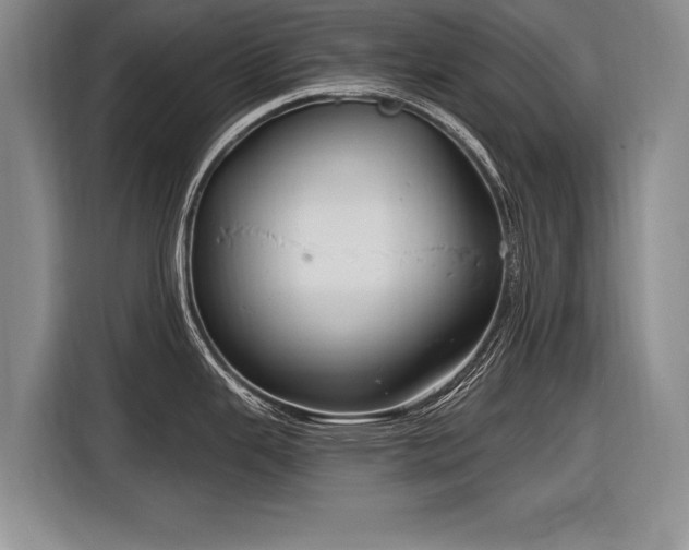 X0000116891343200912221446