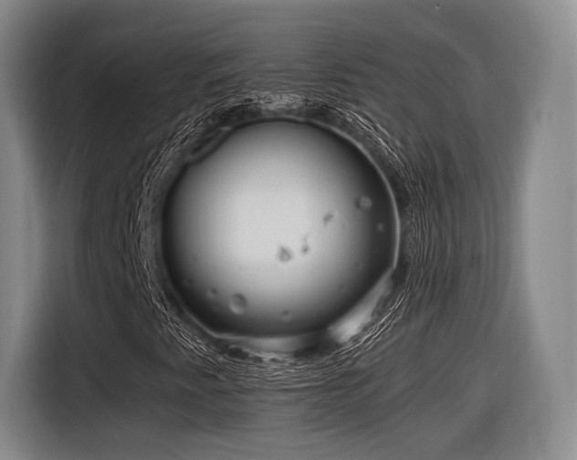 X0000116891345200912221445