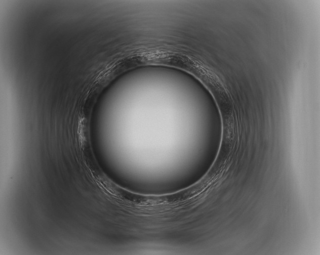 X0000116891346200912221445
